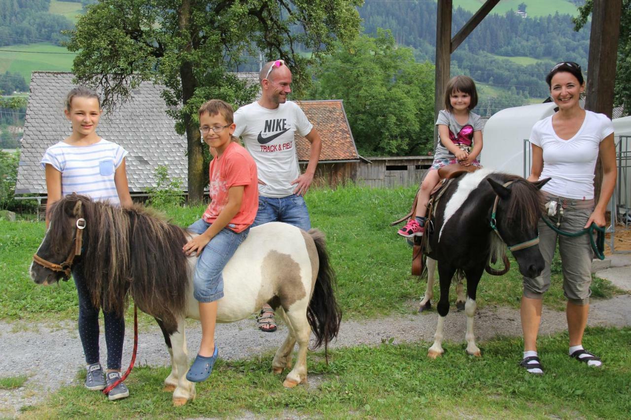Willa Feldlhof Schladming Zewnętrze zdjęcie